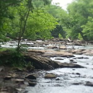 j. ruth kelly, all rights reserved, 2013